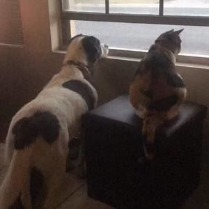 Meet your Posher, Raylee